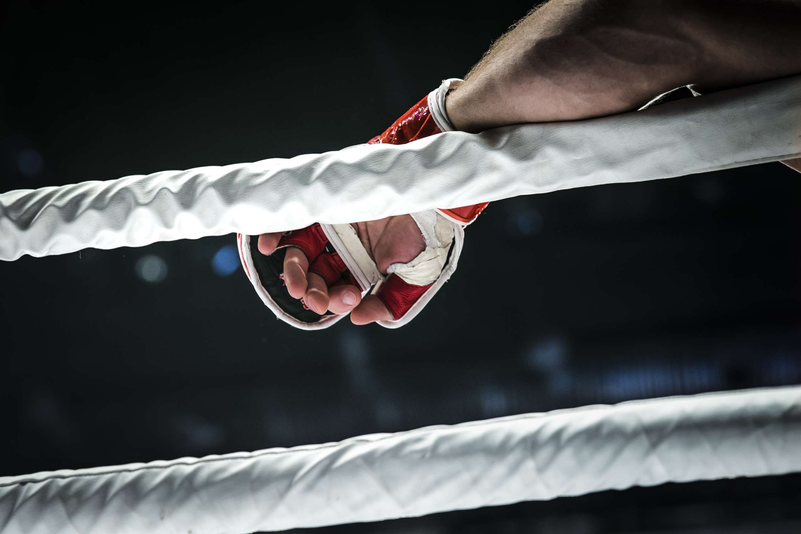 The Best Online Betting Sites for MMA Fans